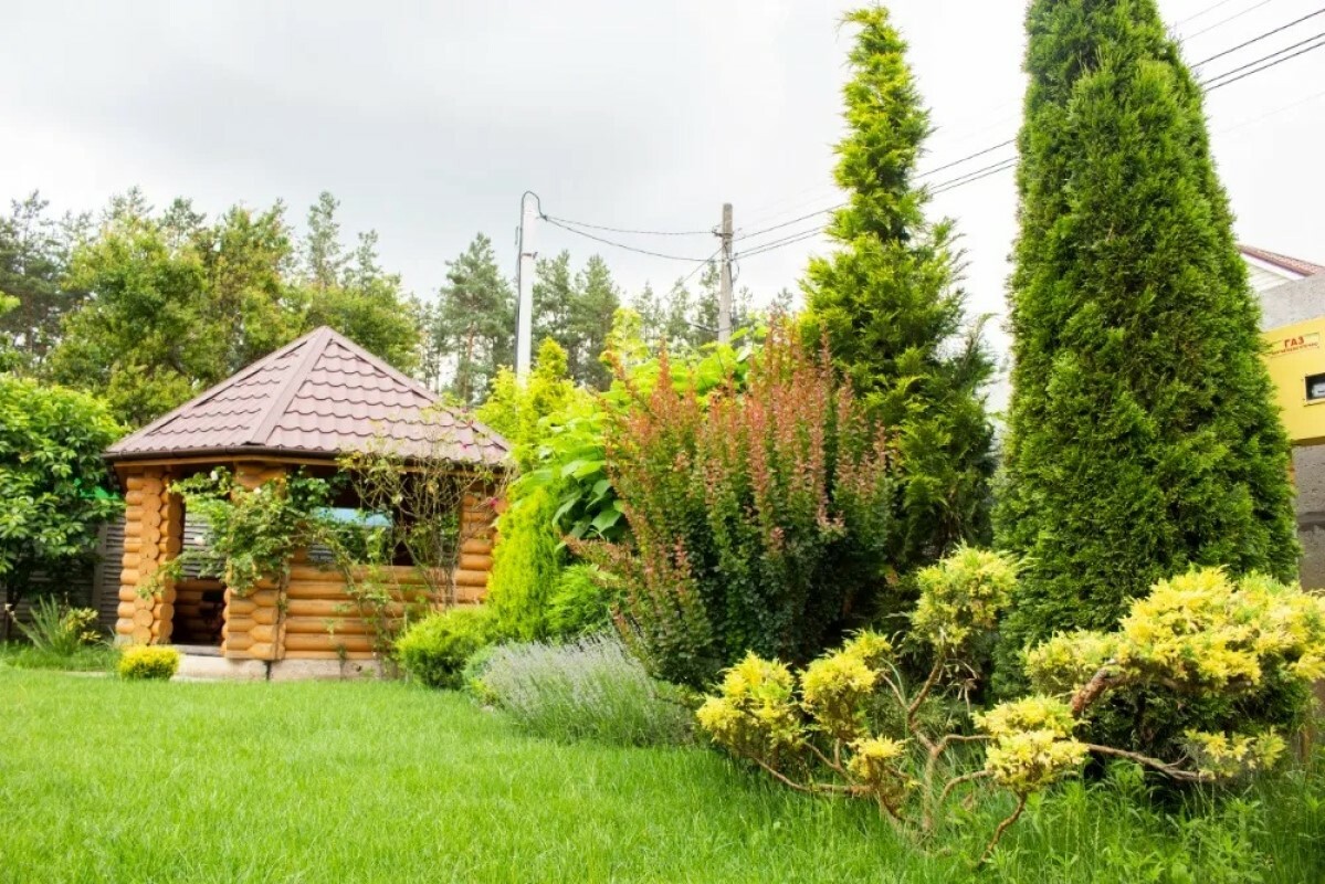 https://sudak.tgv-stroy.ru/storage/app/uploads/public/637/ef4/fb3/637ef4fb3605f391429275.png
